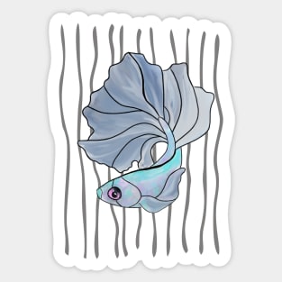 Siamese Fighting Fish Sticker